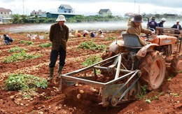 Nông dân “méo mặt” vì nông sản rớt giá