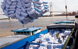 Năm 2018, Việt Nam có thể xuất khẩu 6,5 triệu tấn gạo