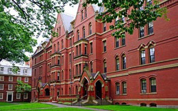 Nếu VinUni thực hiện chính sách giống nhóm trường Harvard, học phí sẽ cao đến thế nào?