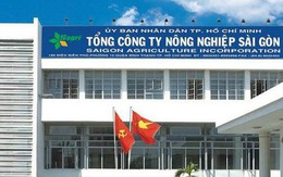 TGĐ Công ty Nông nghiệp Sài Gòn bị kỷ luật khiển trách