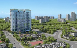 Mua Eco Dream trong tháng 3, nhận ngay quà tặng bằng Vàng