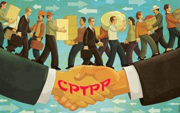 World Bank nhận định gì về đóng góp của CPTPP cho GDP Việt Nam?