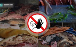 Truy xuất nguồn gốc thực phẩm bằng công nghệ quét mã QR Code