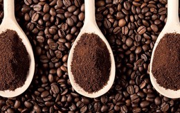 Giá cà phê thế giới tăng khi ICO khai mạc Hội nghị Thường niên lần thứ 121