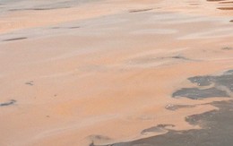 Vệt nước màu đỏ dài hơn 1km xuất hiện trên biển Quảng Bình