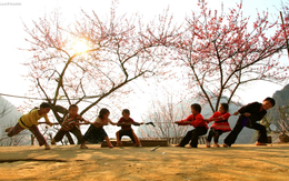 VN-Index vượt lên mốc 1.170 "thần thánh" nhờ GAS, VIC, MSN, khối ngoại tiếp tục mua hơn 2 triệu cổ phiếu HDB