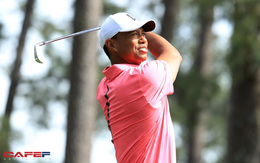 Nhà vé vui mừng khi Tiger Woods chính thức xác nhận tham gia US Open 2018