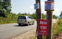 “Cò đất” náo loạn Vân Phong, Phú Quốc và Vân Đồn, chính quyền vào cuộc ngăn sốt đất chặn đầu cơ