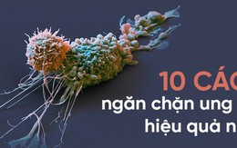 10 chuyên gia đúc kết 10 nguyên tắc 'vàng' phòng tránh ung thư: Ghi nhớ để tự cứu mình