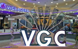 Viglacera: Kế hoạch lãi trước thuế 950 tỷ đồng năm 2018