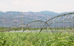 Công ty cổ phần Thành Thành Công - Biên Hòa (SBT) tiến hành mua cổ phiếu quỹ