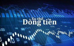 Xu thế dòng tiền: Điều chỉnh đã xong?