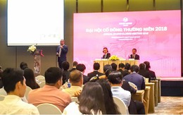 Nam Long lên kế hoạch trở thành công ty tư nhân đầu tiên bán đấu giá cổ phần ra đại chúng