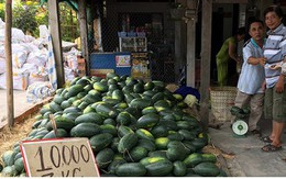 Nông sản Việt thua trên “sân nhà” vì người tiêu dùng kém tin tưởng