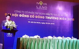 ĐHCĐ Tập đoàn Novaland: 80% nguồn lực cho mảng nhà ở, 20% lấn sân sang BĐS nghỉ dưỡng và đặt mục tiêu tăng doanh thu gần gấp đôi