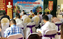 ĐHĐCĐ TLD: Thông qua mở rộng quy mô sản xuất - Lãi quý I đạt 32,8% kế hoạch cả năm