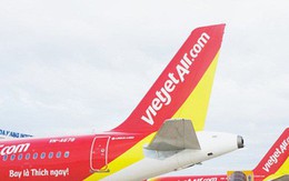 Chim va vào cánh máy bay Vietjet khiến 7 chuyến bay phải hủy