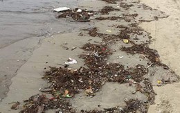 Bãi biển Đà Nẵng ngập rác vì mưa lớn trong ngày hàng nghìn du khách đổ về nghỉ lễ
