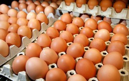 Miễn hạn ngạch thuế quan nhập khẩu muối và trứng gia cầm có xuất xứ từ ASEAN