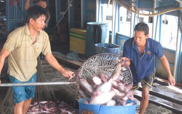 Xuất khẩu qua Trung Quốc tăng rất mạnh