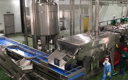 Nafoods Group – Tiếp nối hành trình kiến tạo “giấc mơ tỷ đô ” cho nền nông nghiệp Việt