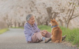 Giữ lời hứa chụp bà và chú chó dưới tầng hoa anh đào, câu chuyện của nhiếp ảnh gia Nhật Bản khiến bao người thổn thức