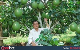 Có "bùa chú" này, người trồng cam Cao Phong, bưởi da xanh Bến Tre, hộ kinh doanh chả mực Hạ Long... sẽ thu lợi cao hơn từ đặc sản và dẹp nạn hàng giả mạo danh