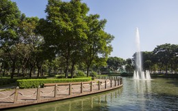 Người nước ngoài tìm gì trong tiêu chuẩn sống ở Việt Nam?