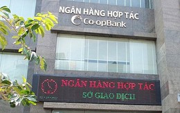 Những ai đang đại diện vốn Nhà nước tại Ngân hàng Hợp tác xã?