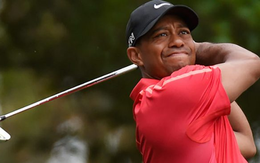 Video: Mãn nhãn với những khoảnh khắc ấn tượng của Tiger Woods ở Masters Tournament 2018
