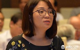ĐBQH: Phán quyết của tòa xử vụ Nguyễn Khắc Thủy là thách thức pháp luật!