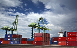 15% doanh nghiệp logistics ước tính doanh thu giảm 50% trước đại dịch Covid-19