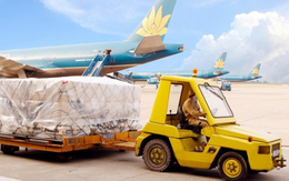 Lãi kỷ lục 3.100 tỷ, nhưng phần lớn lợi nhuận của Vietnam Airlines đến từ bốc xếp hàng hóa, bán cơm, bán xăng...