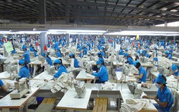 Doanh nghiệp nhập nhèm xuất khẩu lao động có thể bị phạt đến 200 triệu đồng