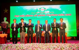 Giá trị nào tạo nên thương hiệu Nhựa Tiền Phong?