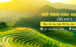 Hội nghị Dầu Gạo Quốc tế chọn Việt Nam là điểm đến tiếp theo