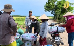 Ớt không được thu mua như cam kết, địa phương đứng ra “giải cứu”