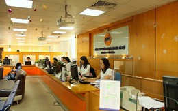 SHS hoàn tất phát hành 5,4 triệu nhận sáp nhập SHBS