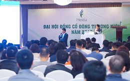 Tuyên bố đầu tư như Warren Buffet, công ty Hestia đang lỗ vài chục tỷ khi “tất tay” mua VPB với giá 5x