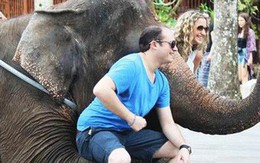 Ảnh: Xót xa cảnh động vật bị ngược đãi tại “thiên đường” du lịch Bali