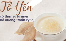 Dân gian truyền miệng câu nói "1g yến sào bằng 40 quả trứng gà": Sự thật ra sao?