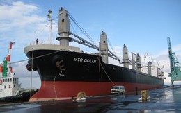 Vietcombank bán đấu giá khoản nợ của Vận tải và Thuê tàu biển Việt Nam Vintranschart