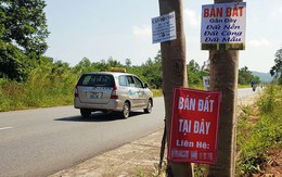 "Mạnh tay" cắt cơn sốt đất, Phú Quốc tạm dừng chuyển đổi đất phân lô tách thửa