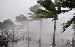 Việt Nam sẽ hứng chịu bao nhiêu cơn bão trong năm 2018?