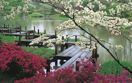 BĐS chuẩn phong cách Nhật Bản: Điểm nhấn khác biệt của thị trường