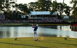 Vì sao hố 17 TPC Sawgrass là hố khó nhất The Players Championship?