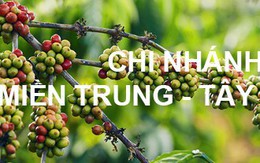 Nông dược H.A.I lên kế hoạch 100 tỷ lợi nhuận năm 2018