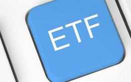 Tháng 6, VNM ETF sẽ mua vào 7,5 triệu USD cổ phiếu ROS