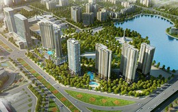 Lộ diện 2 đại lý chính thức phân phối căn hộ tòa C5 Dự án D'Capitale