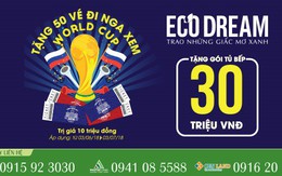 Eco Dream hòa nhịp cùng World Cup